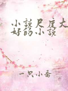 小说尺度大文笔好的小说