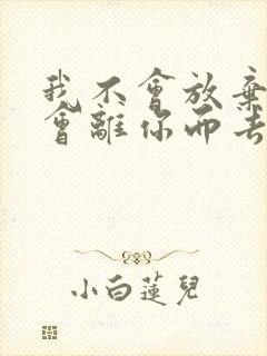 我不会放弃也不会离你而去