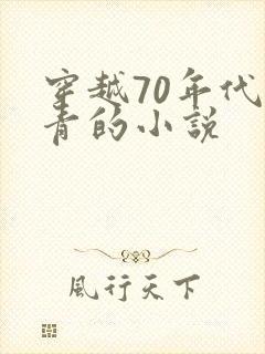 穿越70年代知青的小说