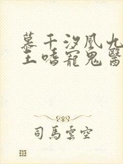 慕千汐凰九夜邪王嗜宠鬼医狂妃免费阅读