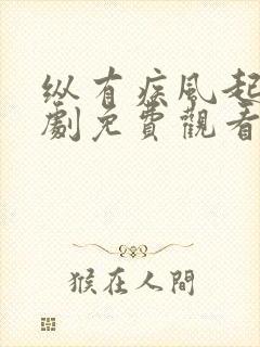 纵有疾风起电视剧免费观看完整版高清在线