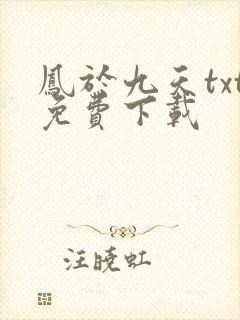 凤于九天txt免费下载