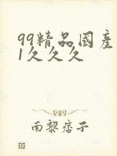 99精品国产91久久久