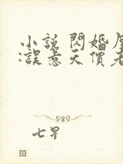 小说 闪婚厚爱:误惹天价老公