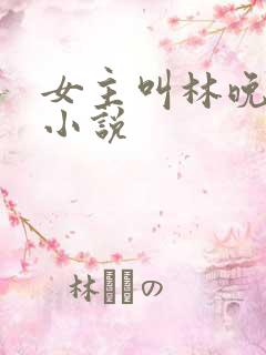 女主叫林晚意的小说