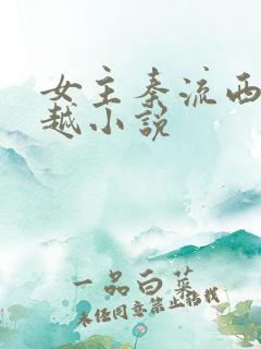 女主秦流西的穿越小说