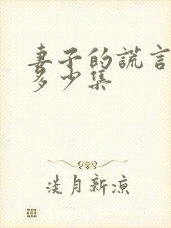 妻子的谎言总共多少集