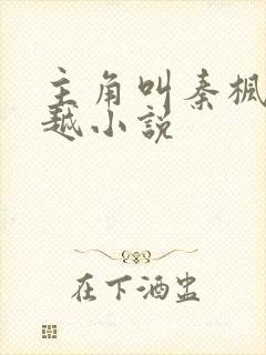 主角叫秦枫的穿越小说