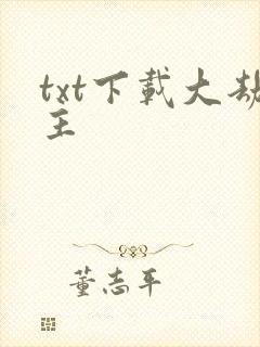 txt下载大劫主