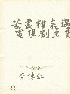 苦尽柑来遇见你 电视剧免费观看国语版