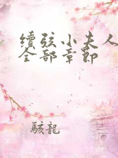 续弦小夫人小说全部章节