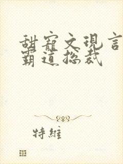 甜宠文现言推荐霸道总裁