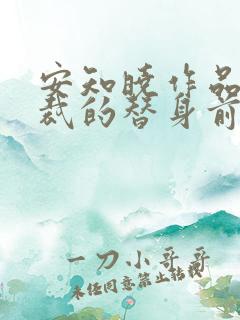 安知晓作品:总裁的替身前妻小说版