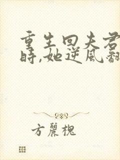 重生回夫君大婚时,她逆风翻盘观看