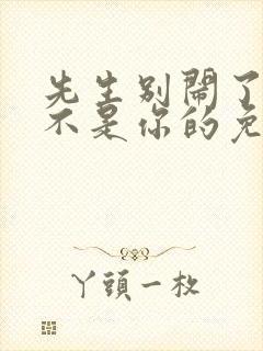 先生别闹了新娘不是你的免费观看大结局