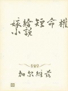 嫁给短命权臣的小说