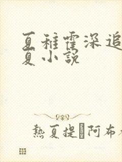 夏稚霍深追妻夏夏小说