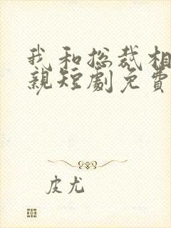 我和总裁相了个亲短剧免费观看