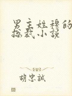 男主姓穆的霸道总裁小说