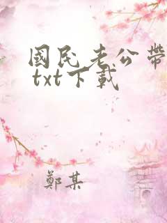 国民老公带回家 txt下载