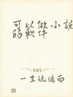 可以做小说封面的软件