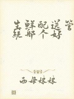 生鲜配送管理系统哪个好