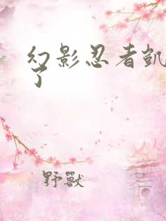 幻影忍者凯黑化了