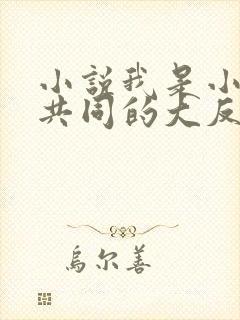小说我是小说里共同的大反派