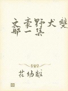 文豪野犬双黑是哪一集