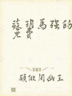 苏玥马强的小说免费