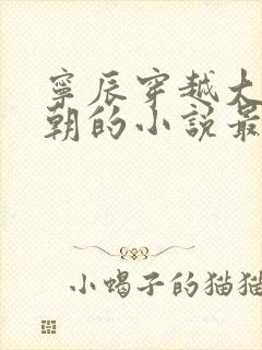 宁辰穿越大玄皇朝的小说最新章节免费阅读