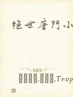 绝世唐门小说之