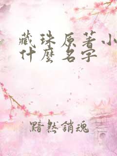 藏珠原著小说叫什么名字