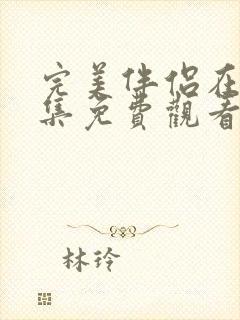 完美伴侣在线全集免费观看