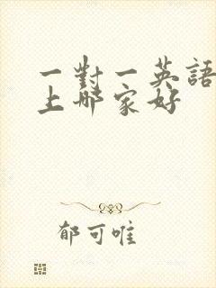 一对一英语 线上哪家好