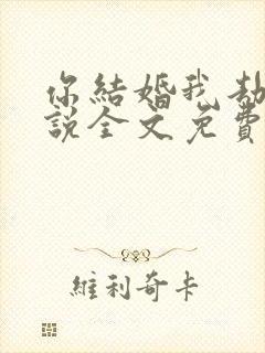 你结婚我劫婚小说全文免费