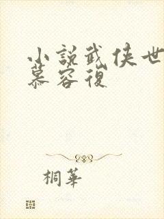 小说武侠世界的慕容复