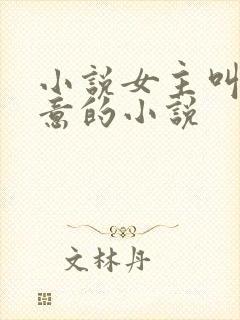 小说女主叫林晚意的小说