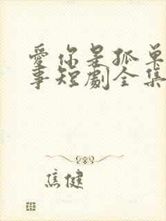 爱你是孤单的心事短剧全集