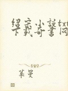 绍宋小说txt下载奇书网