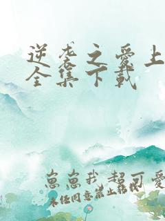 逆袭之爱上情敌全集下载