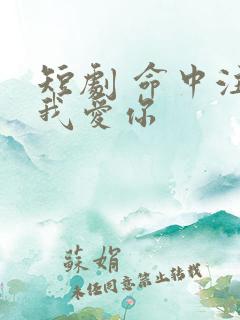 短剧 命中注定我爱你