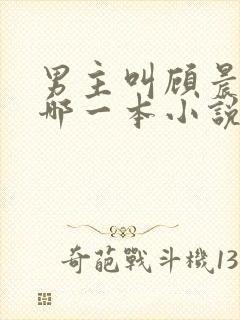 男主叫顾晨的是哪一本小说