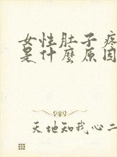 女性肚子疼尿血是什么原因引起的