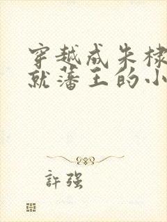 穿越成朱棣拒绝就藩王的小说