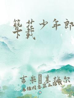 簪花少年郎小说下载