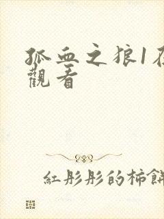 孤血之狼1在线观看