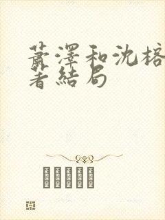 萧泽和沈榕宁原著结局