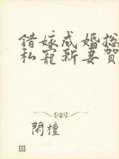 错嫁成婚总裁的私宠新妻贺煜城