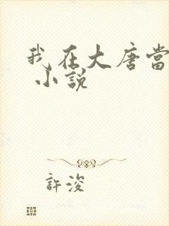 我在大唐当闲王 小说